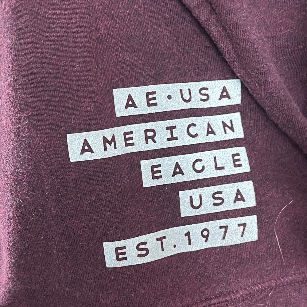 American Eagle Maroon Hoodie - Picture 5 of 6